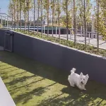 Modern, Chic, Great Location