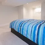 Cathedral Charmer-- 2 Bedroom English Basement, With Garden Access
