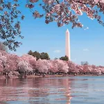 Luxury 3Br With Parking In Heart Of Dc - Steps To Metro