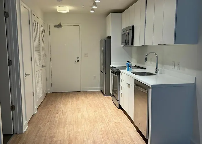 New 1-Bedroom Apt In Dc Chic