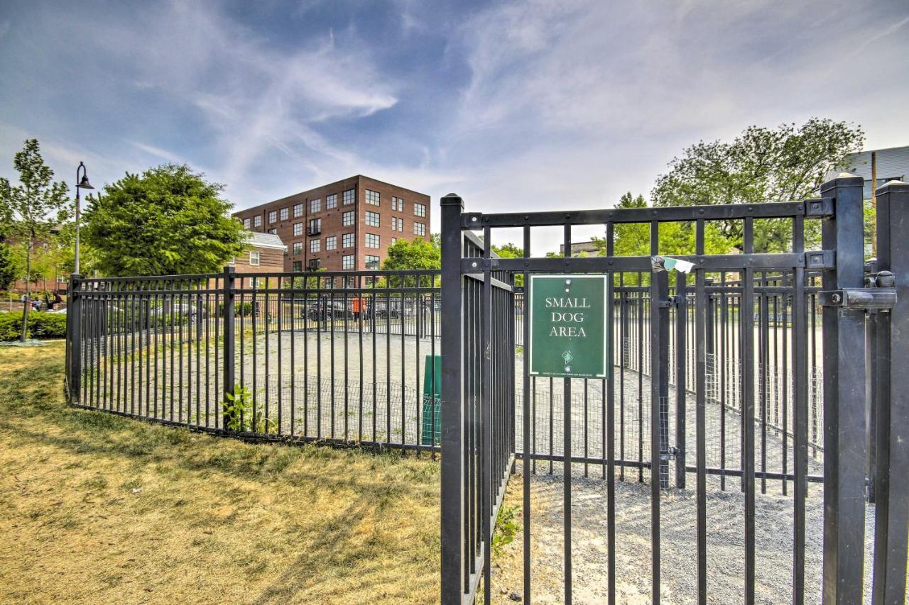 Modern D C Retreat With Private Outdoor Space! * Washington