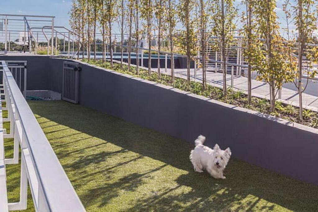 Modern, Chic, Great Location Apartment *