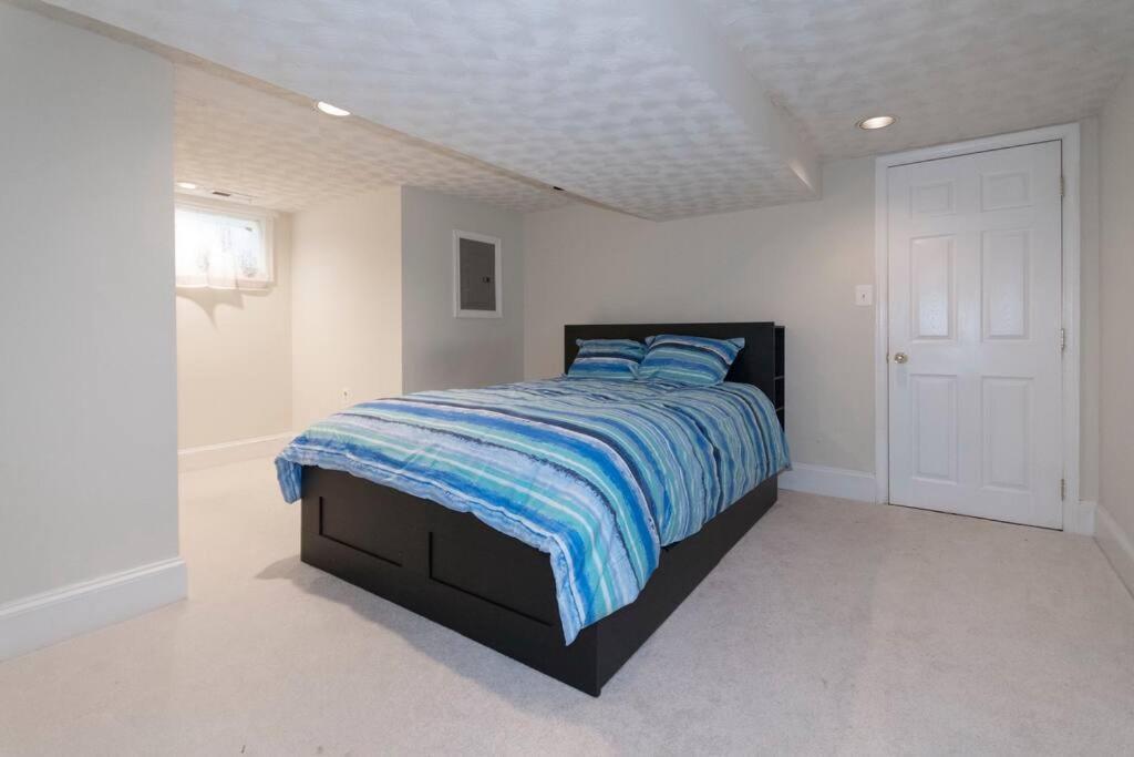 Apartment Cathedral Charmer-- 2 Bedroom Basement, With Garden Access Washington
