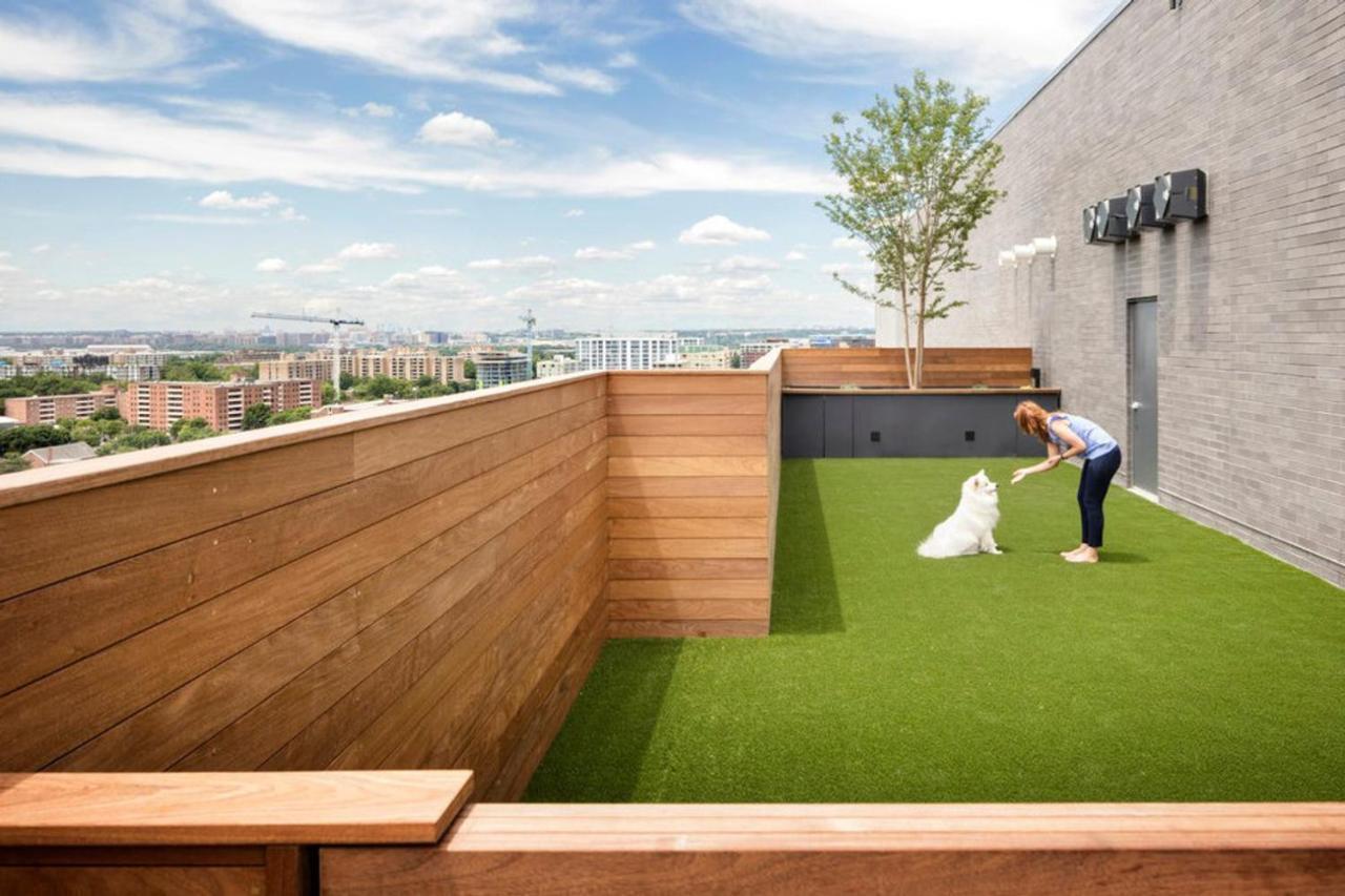 Navy Yard 1br W Gym Rooftop Pool Nr Nats Park Wdc-307 Apartment