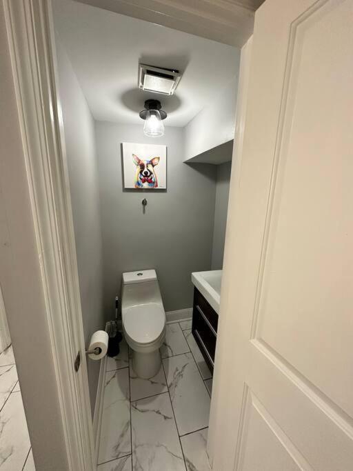 Apartment Downtown Delight In Heart Of Dc's Bustling Streets Washington
