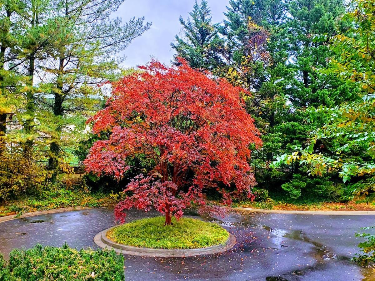 Georgetown Parkside Retreat Guest house Washington