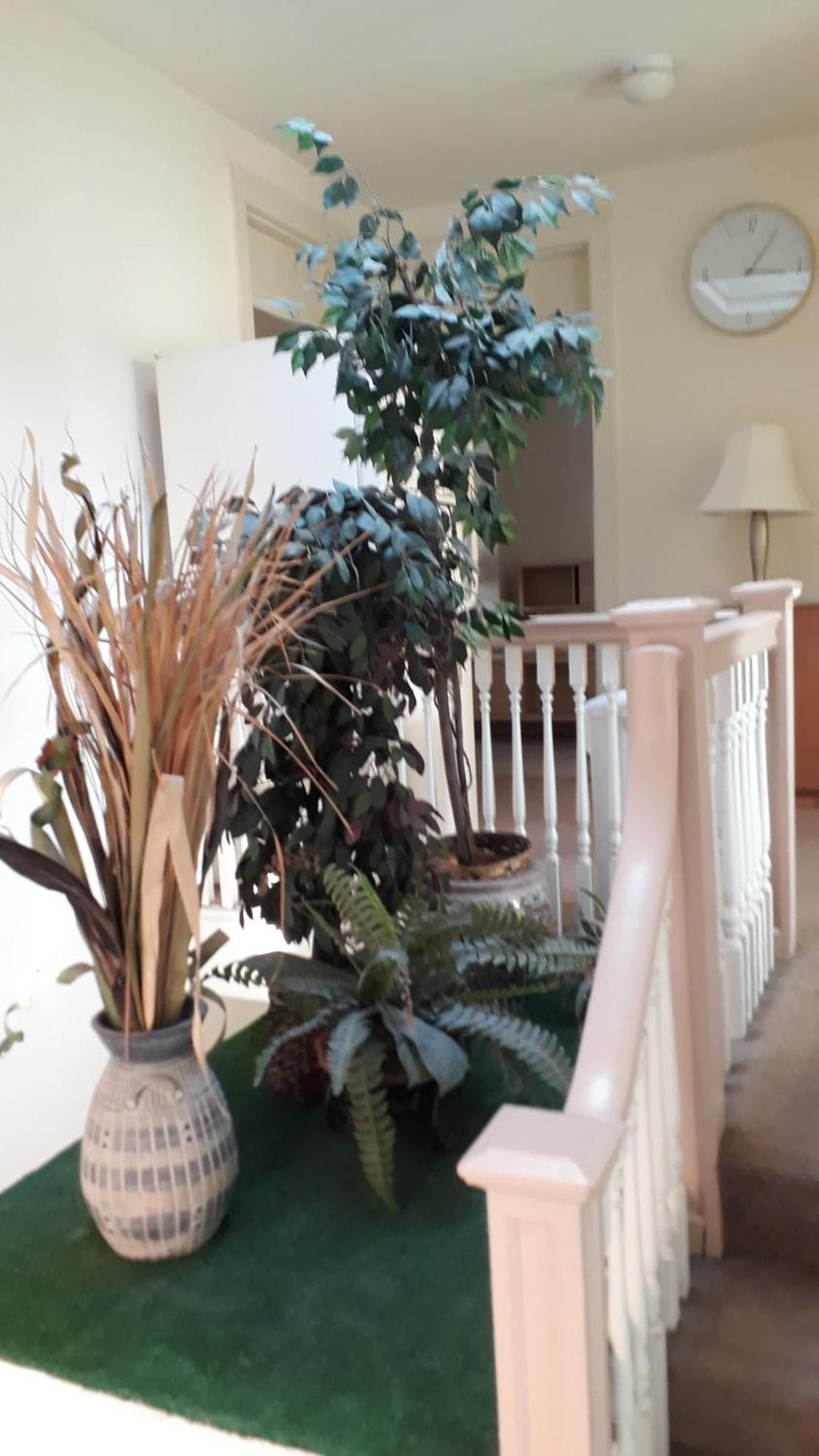 Homestay Pleasant Rooming House Washington