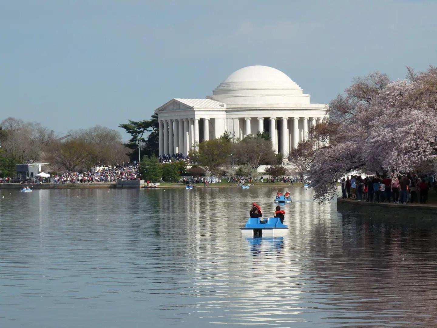 Dc's Best Address -10min To White Hse - 500 Mbps