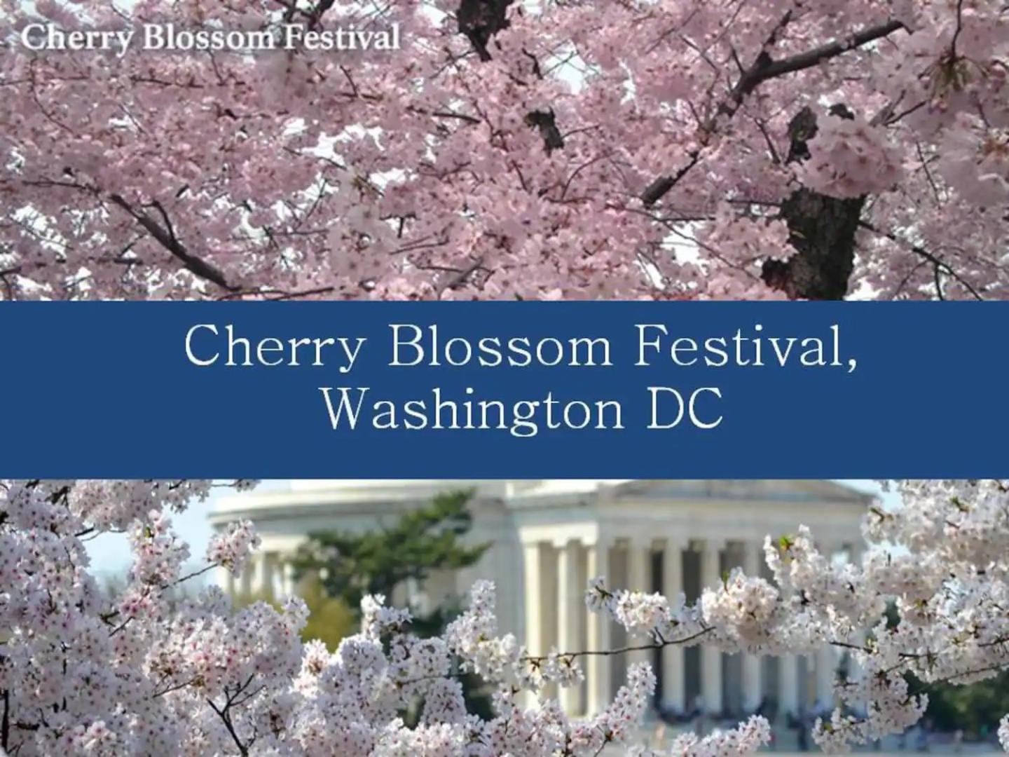 Dc's Best Address -10min To White Hse - 500 Mbps Holiday home *