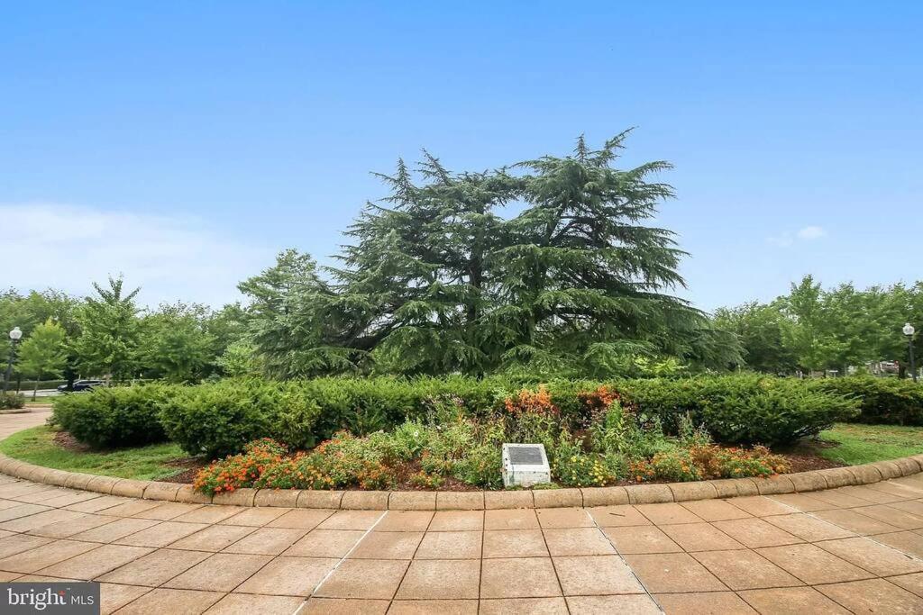 Private With Ensuite Bathroom Centrally Located Washington