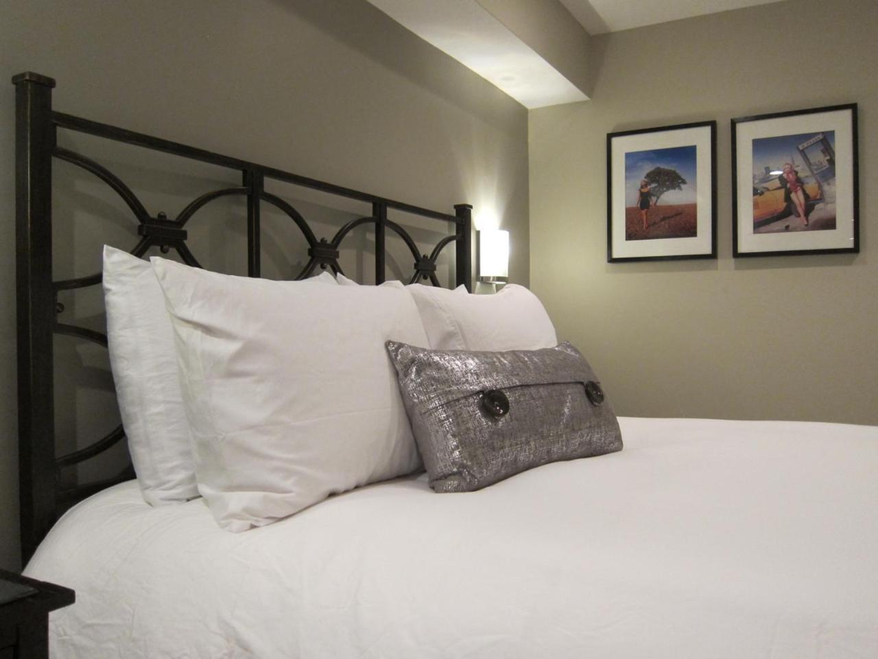 Apartment Stylish Renovated Flat, Central, Walk To Dc Sights *