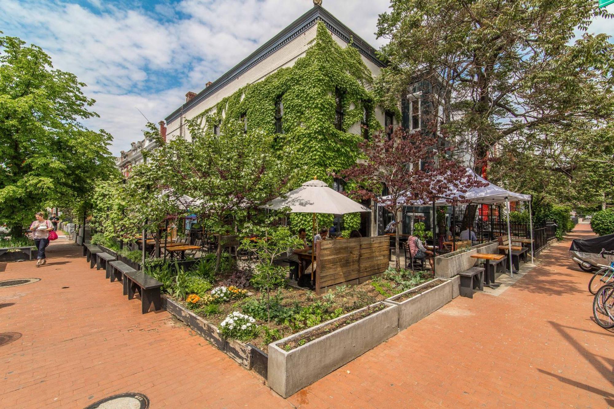 Stylish Renovated Flat, Central, Walk To Dc Sights Apartment *