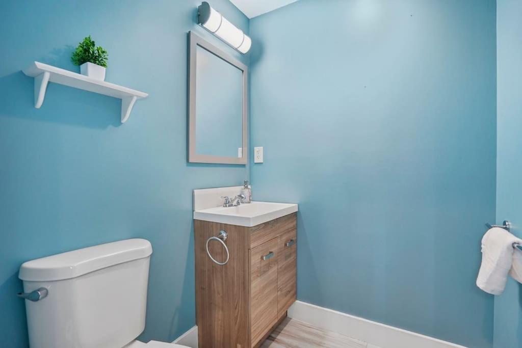 Stunning Renovated Dc