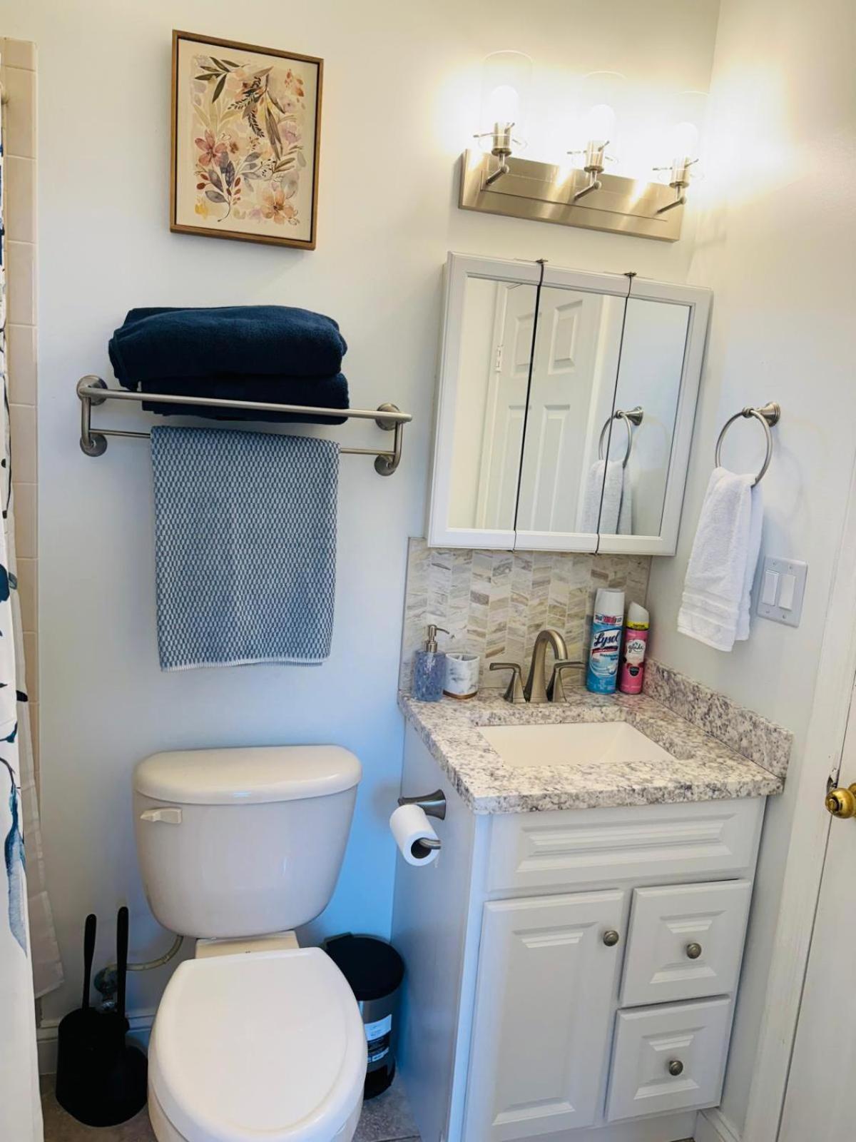 Spacious, Relaxing And Gorgeous 5bd 5ba House In Dc * Washington