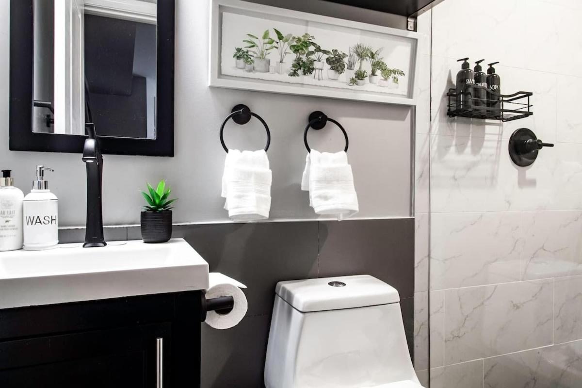 Centrally-located Well-decorated Solar-powered Apartment Washington