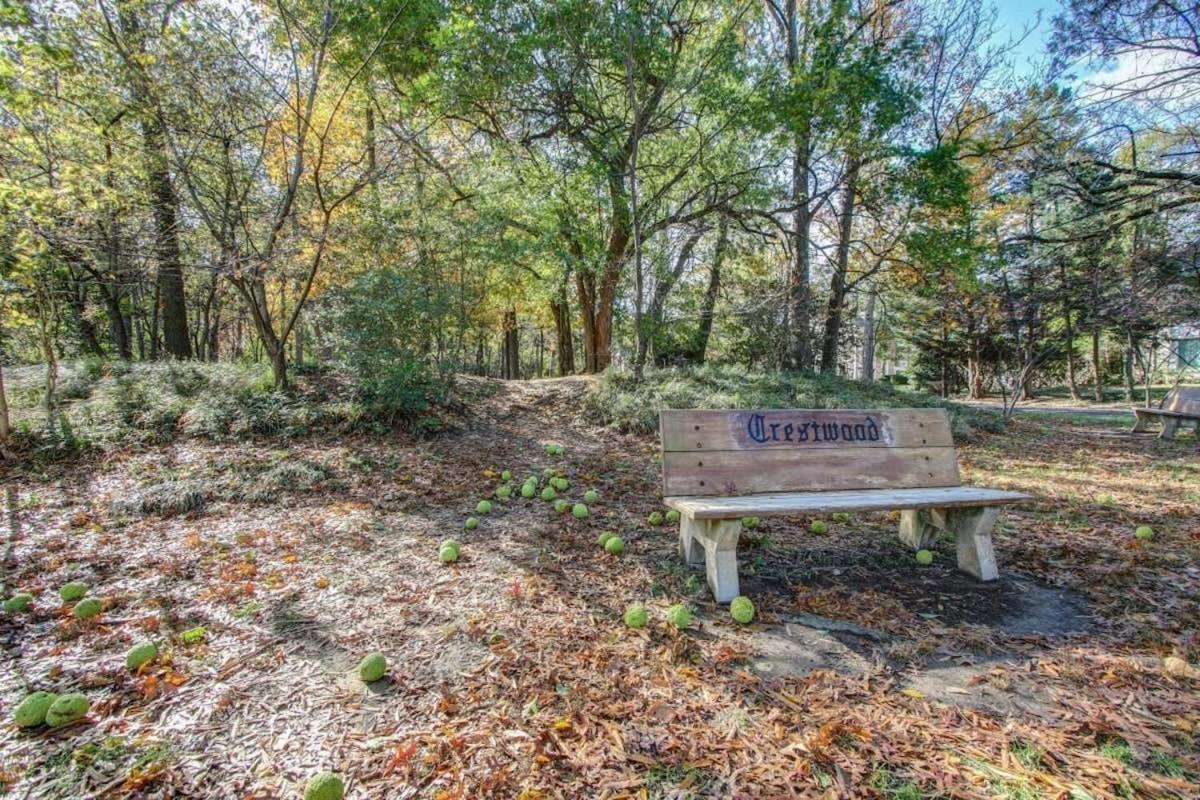 Sunny, Serene & Centrally-located *privacy *comfort *5-stars Apartment Washington