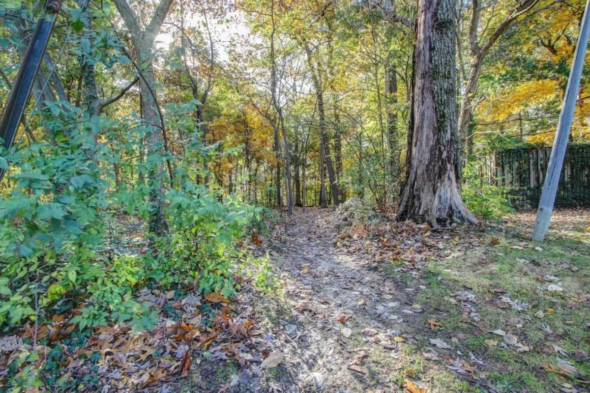 Sunny, Serene & Centrally-located *privacy *comfort *5-stars Apartment *