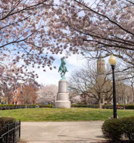 Apartment Sojourn's Stanton Park Sleeps 4 Washington