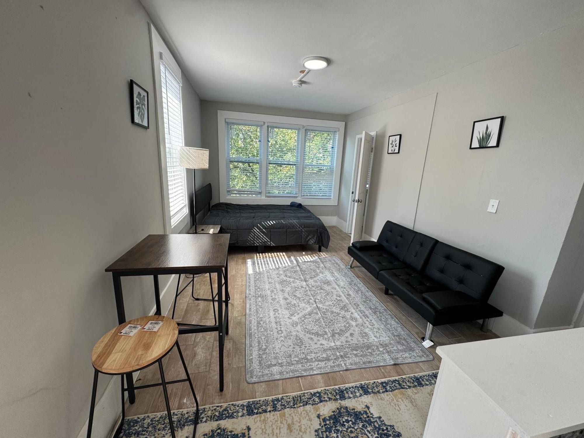 Cozy Studio In Dc Apartment