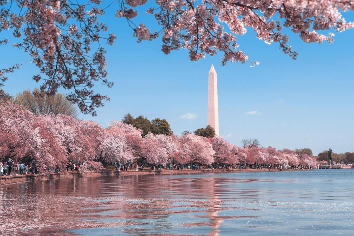 Apartment Luxury 3br With Parking In Heart Of Dc - Steps To Metro Washington