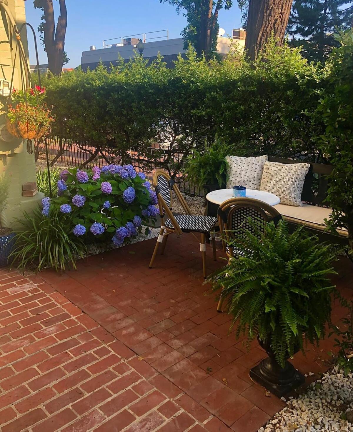 Charming And Historic In Capitol Hill *