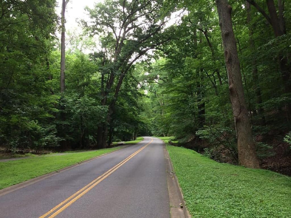 Rock Creek Park * Washington