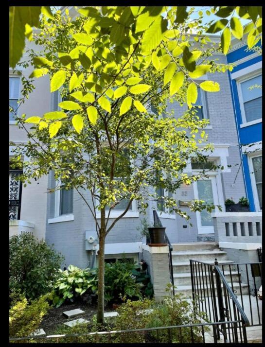 3bed 2bath Downtown Dc's Near Everything *
