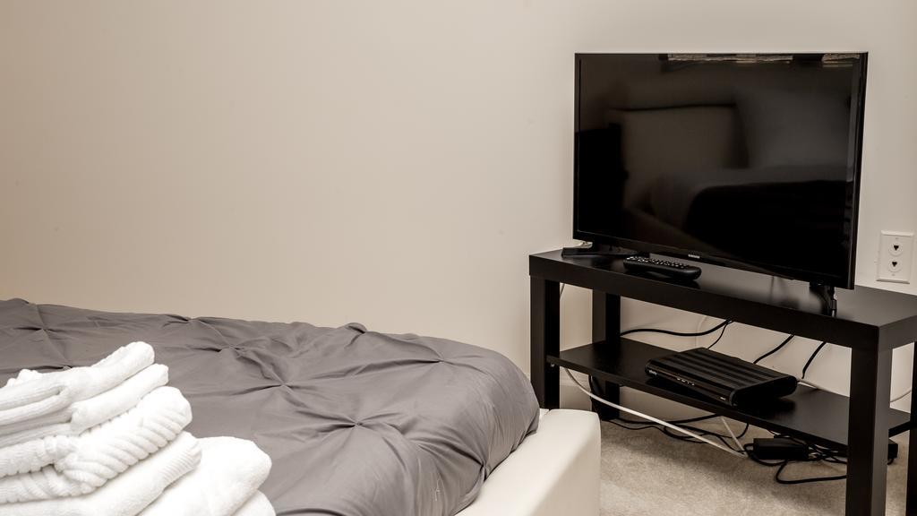 Wonderful Fully Furnished In Downtown Area