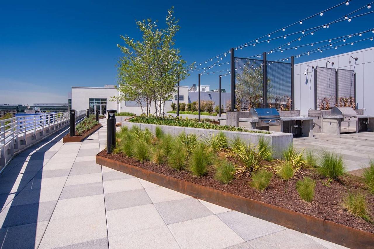 Stunning Dc W Rooftop Pool Ideal Location Apartment