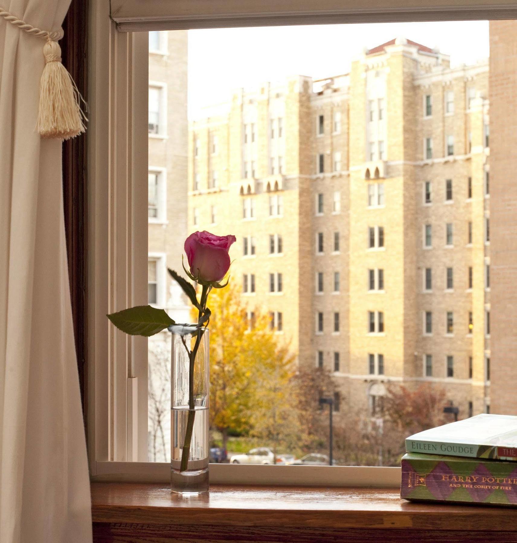 American Guest House, A Dc 2*
