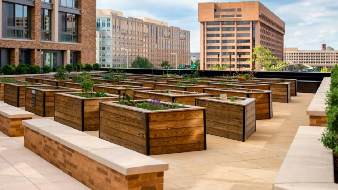 Global Luxury Suites At The Wharf