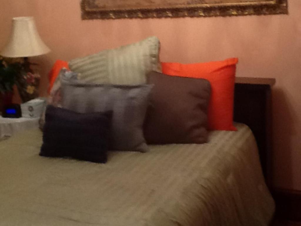 Ledroit Park Renaissance Bed & Breakfast