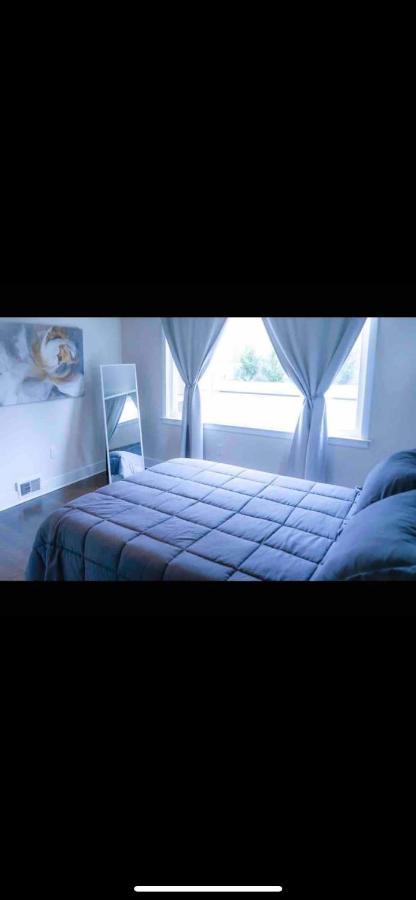 Lovely 1-bedroom Unit With Free Parking * Washington