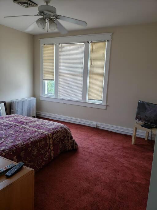 D.c.'s Brookland House Pets Are Welcome! Washington