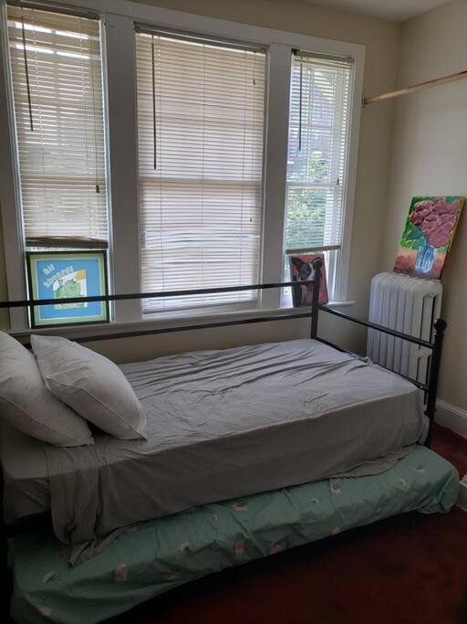 Holiday home D.c.'s Brookland House Pets Are Welcome!