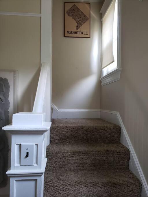 D.c.'s Brookland House Pets Are Welcome! *