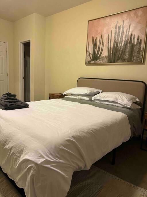 Charming Bedroom & Parking Apartment Washington