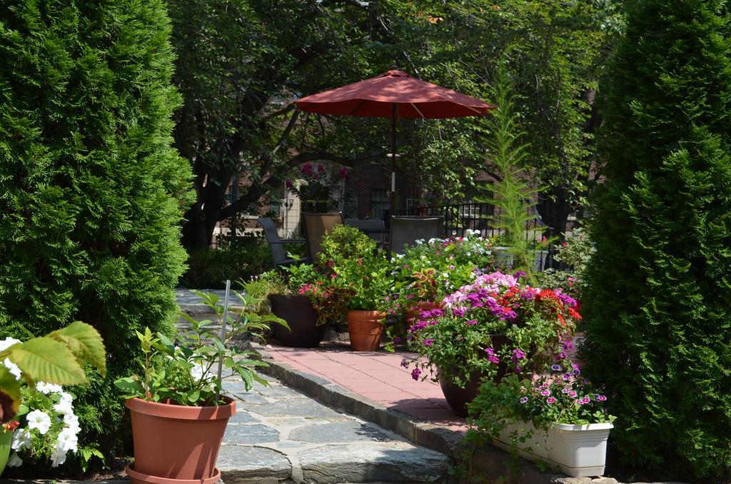 Bed & Breakfast Kalorama 3*