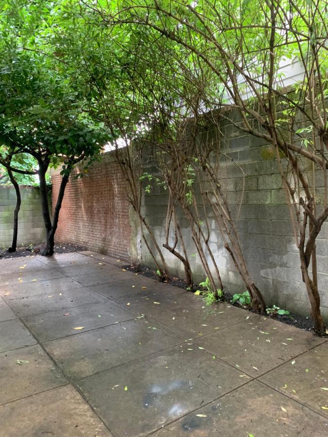Renovated Basement 2bdrm Near Metro * Washington