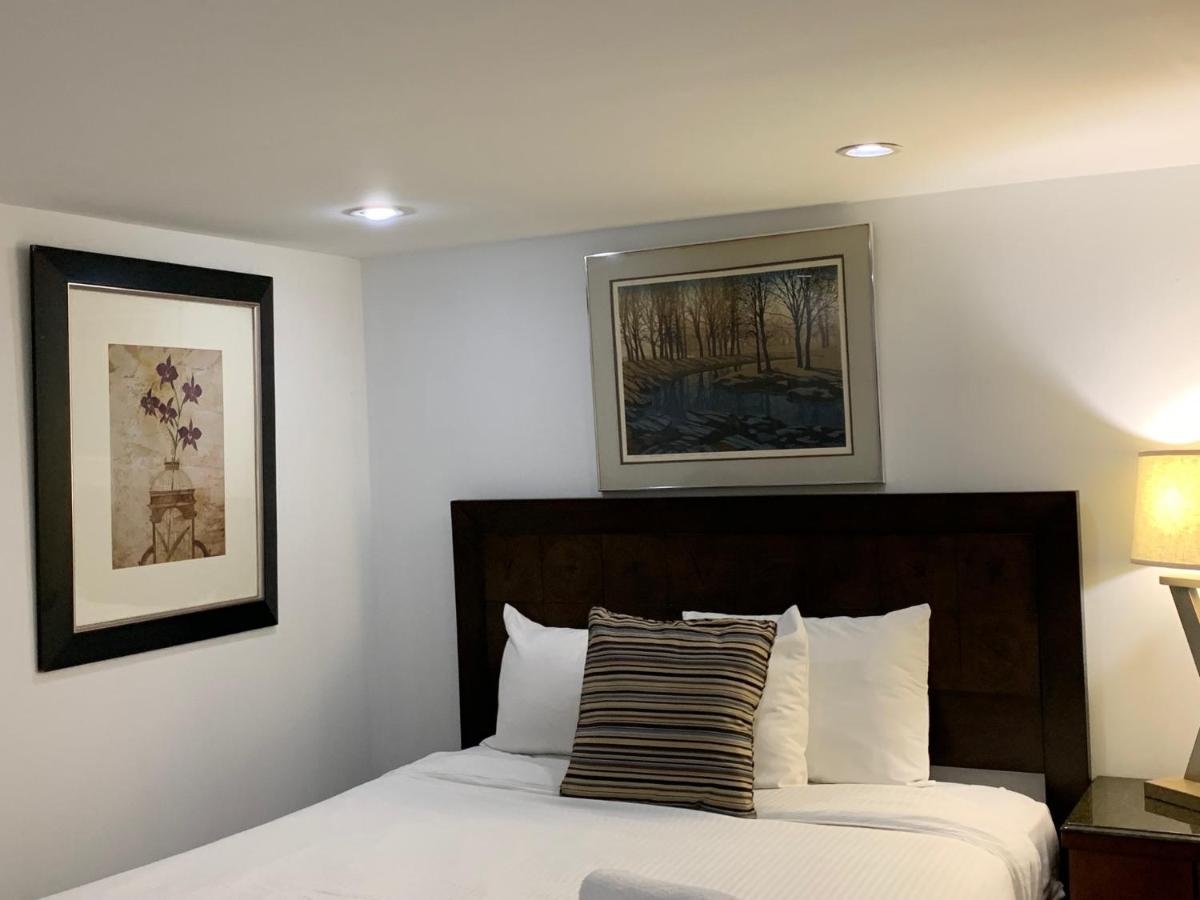 Apartment Renovated Basement 2bdrm Near Metro *