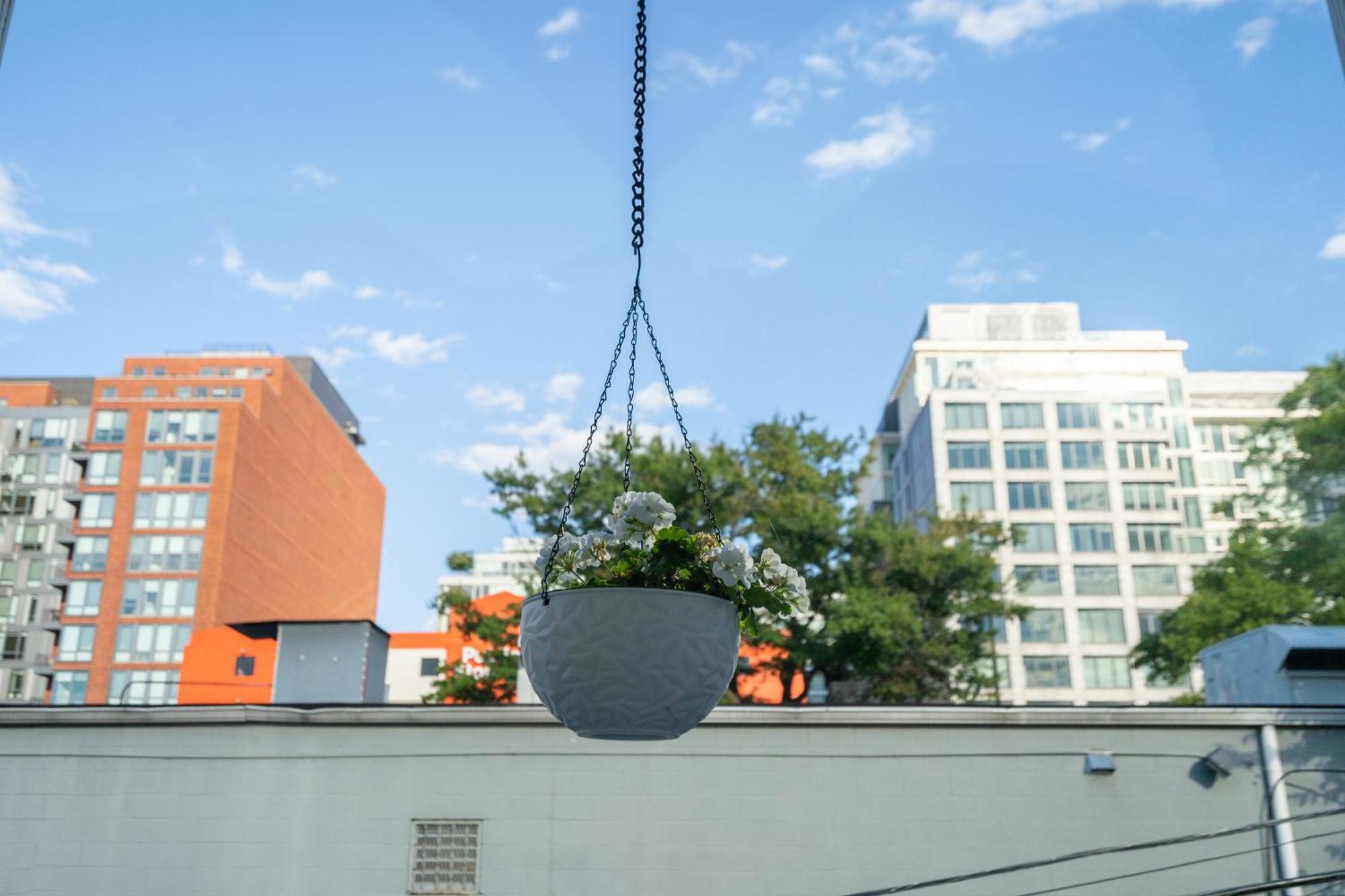 Navy Yard Gem: Stylish Near Nationals Stadium Apartment