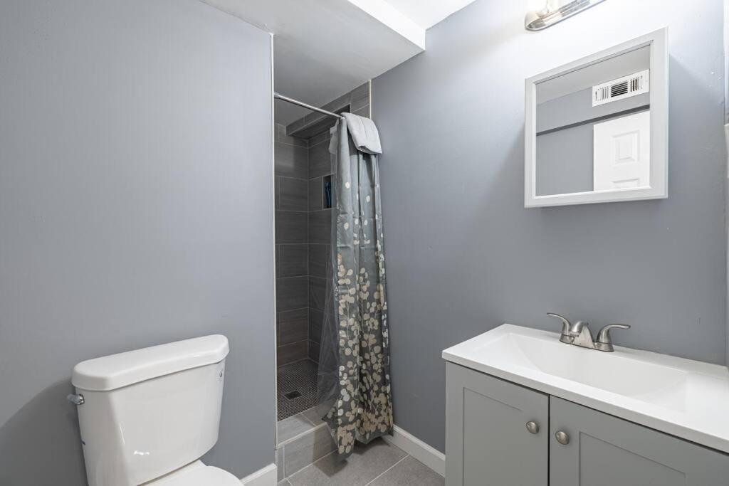 Cozy New Studio In Dupont, Dc Apartment