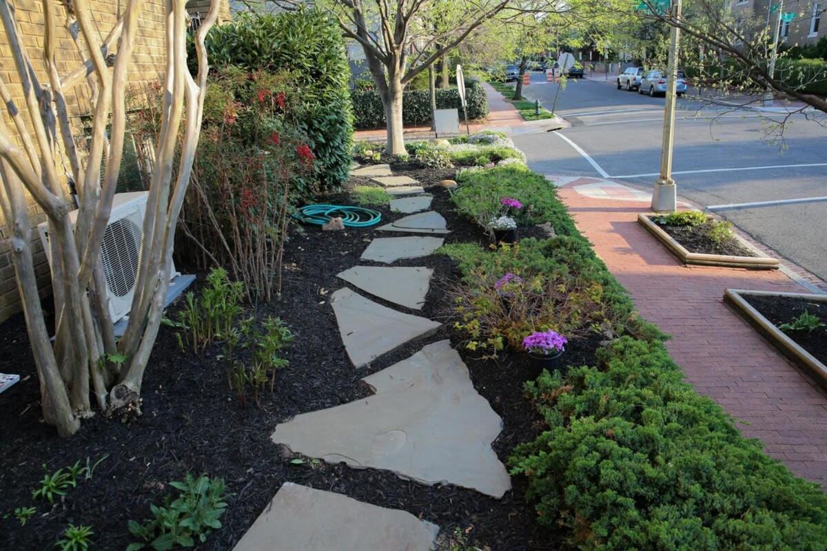 Capitol Hill Delight With Patio Apartment Washington