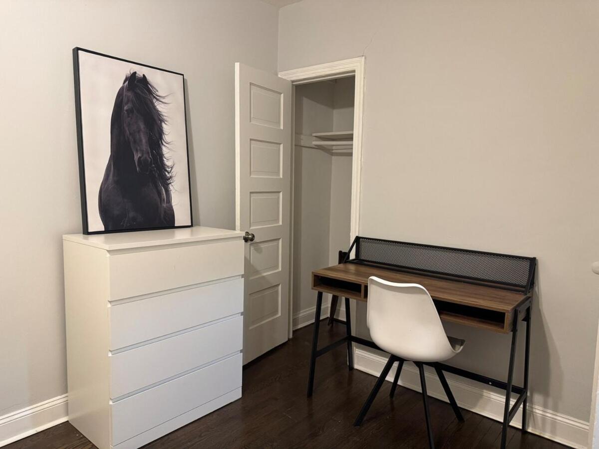 Sunny & Stylish Dc In Southeast Apartment